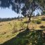  Land for sale in Omitlan De Juarez, Hidalgo, Omitlan De Juarez