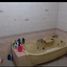 Villa 7 chambre à vendre à Mulyorejo, East Jawa, Mulyorejo