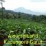  Land for sale in Garut, West Jawa, Karangpawitan, Garut