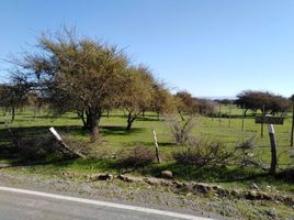  Terreno (Parcela) en venta en Cardenal Caro, Libertador General Bernardo O'Higgins, Pichilemu, Cardenal Caro