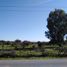  Terreno (Parcela) en venta en Cardenal Caro, Libertador General Bernardo O'Higgins, Pichilemu, Cardenal Caro