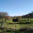  Terreno (Parcela) en venta en Cardenal Caro, Libertador General Bernardo O'Higgins, Pichilemu, Cardenal Caro