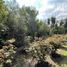 4 Bedroom House for sale in Chile, Colina, Chacabuco, Santiago, Chile