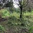  Terreno (Parcela) en venta en Tepoztlan, Morelos, Tepoztlan