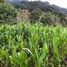  Terreno (Parcela) en venta en Tepoztlan, Morelos, Tepoztlan