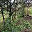  Terreno (Parcela) en venta en Tepoztlan, Morelos, Tepoztlan