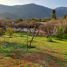 Terreno (Parcela) en venta en Melipilla, Santiago, Curacavi, Melipilla