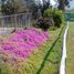  Terreno (Parcela) en venta en Melipilla, Santiago, Curacavi, Melipilla