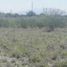 Terrain à louer à San Nicolas De Los Garza, Nuevo Leon, San Nicolas De Los Garza, Nuevo Leon
