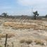  Land for rent in Guadalupe, Nuevo Leon, Guadalupe