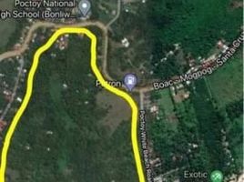  Land for sale in Boac, Marinduque, Boac