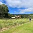  Land for sale in Chile, Vichuquen, Curico, Maule, Chile