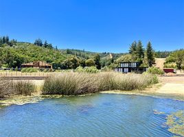  Land for sale in Chile, Vichuquen, Curico, Maule, Chile