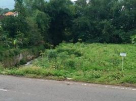  Terreno (Parcela) en venta en Tambaksari, East Jawa, Tambaksari, Surabaya