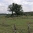  Land for sale in Carmen, Campeche, Carmen