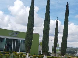  Grundstück zu verkaufen in Guanajuato, Guanajuato, Guanajuato, Guanajuato