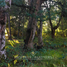  Land for sale in Cautin Araucania, Villarrica, Cautin