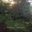  Land for sale in Cautin Araucania, Villarrica, Cautin
