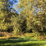  Land for sale in Cautin Araucania, Villarrica, Cautin