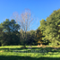  Land for sale in Cautin Araucania, Villarrica, Cautin