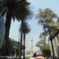 102 SqM Office for rent in Azcapotzalco, Mexico City, Azcapotzalco