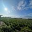  Land for sale in Chile, Limache, Quillota, Valparaiso, Chile