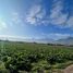  Land for sale in Chile, Limache, Quillota, Valparaiso, Chile