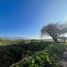  Land for sale in Chile, Limache, Quillota, Valparaiso, Chile