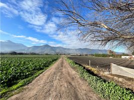  Land for sale in Chile, Limache, Quillota, Valparaiso, Chile