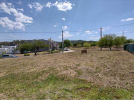  Land for sale in Santa Maria, Cordoba, Santa Maria