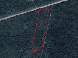  Land for sale in Valladolid, Yucatan, Valladolid