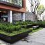431 m2 Office for rent in Mexico City, Miguel Hidalgo, Mexico City