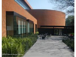 431 m2 Office for rent in Mexico City, Miguel Hidalgo, Mexico City