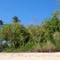  Land for sale in Sumba Barat East Nusa Tenggara, Kodi, Sumba Barat, East Nusa Tenggara