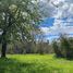  Land for sale in Chile, Villarrica, Cautin, Araucania, Chile