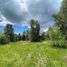  Land for sale in Chile, Villarrica, Cautin, Araucania, Chile
