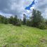  Land for sale in Chile, Villarrica, Cautin, Araucania, Chile