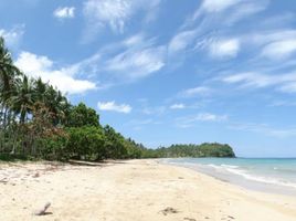  Land for sale in Puerto Princesa City, Mimaropa, Puerto Princesa City, Palawan, Mimaropa
