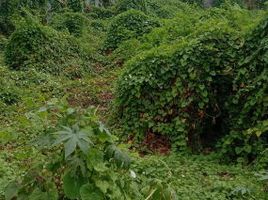  Terreno (Parcela) en venta en Kenjeran, East Jawa, Kenjeran, Surabaya, East Jawa