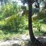  Land for sale in Compostela, Cebu, Compostela