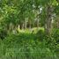  Land for sale in Chile, Villarrica, Cautin, Araucania, Chile