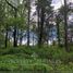  Land for sale in Chile, Villarrica, Cautin, Araucania, Chile