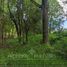  Land for sale in Chile, Villarrica, Cautin, Araucania, Chile