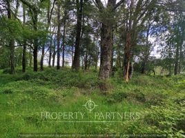  Land for sale in Chile, Villarrica, Cautin, Araucania, Chile