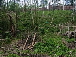  Terreno (Parcela) en venta en Cali, Valle Del Cauca, Cali