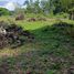  Land for sale in Cali, Valle Del Cauca, Cali