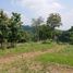  Land for sale in Ponco Kusumo, Malang Regency, Ponco Kusumo