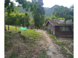  Land for sale in Chicamocha National Park, Piedecuesta, Piedecuesta