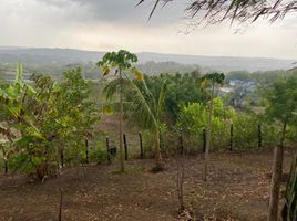  Terreno (Parcela) en venta en Turbaco, Bolivar, Turbaco