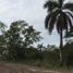  Grundstück zu verkaufen in Tampico, Tamaulipas, Tampico